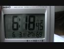 亀の観察記録 7.5日目