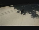 とある田舎の猫事情　～若キジ、車の進行妨害をする～