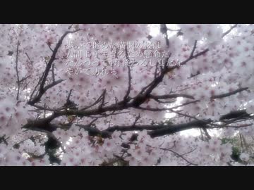 【ニコラップ】桜【礫a.k.aCOISI】