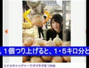 ＵＦＯキャッチャーでタマネギをつかめ！.wmv