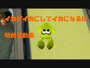イカがイカにしてイカになるか眺める動画