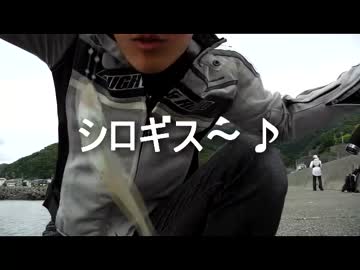 バイクで釣りに行こう♪　part 22 中編【サビキ＆ちょい投げ】