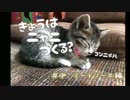 ♪04　ミートソース作ってみたよ