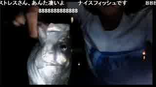 【2015/06/04】シーバス