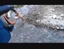 ハシケン 【外配信】府中郷土の森公園ほかまったり散歩8/13
