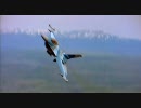 【H.264】Fighter Pilotの一部【画質TEST】