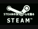 STEAMの安いゲームを漁る 第1回 「DETOUR」 #1