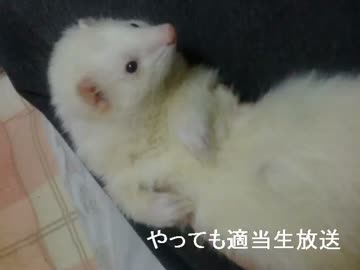 やってもの適当生放送アーカイブ動画　その２