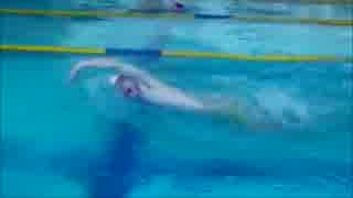 人気の クロール 動画 93本 ニコニコ動画