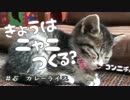 ♪05　カレーライス作ってみたよ