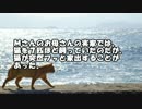 【ゆっくり怪談】猫嶽山【怖い話】