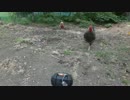 にわめし　２アングルバージョン