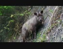 忍に跨り四国を巡る　part2