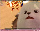 mabinogi マビノギ 3/14　襟1ch　イフリート