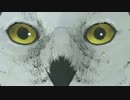 【実況】サイコメトラーが遺留品から妻の殺害犯を追うD4：01