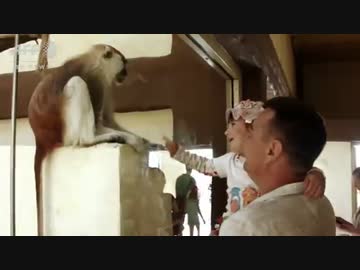 私設の動物園が開園、戦闘続くウクライナで人々に癒やしを　