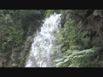 部長とカメラ 47都道府県完全制覇の旅 第8回 鹿児島編 part.3