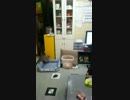 実家の猫「みいみ」と親父、互いにしょうがなく遊ぶ