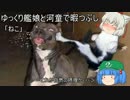 ゆっくり艦娘と河童で暇つぶし「ねこ」