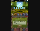 【パズドラ】アンケートダンジョン17　ポチポチ　高速周回　35秒.mp4