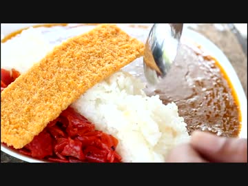 Ninjaまったり君の　おいしいレトルトカレーを求めて　25杯目