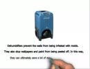 Best Dehumidifier