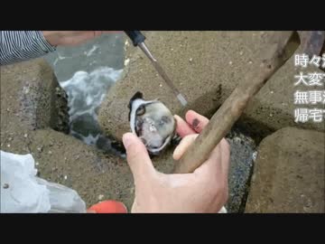 まったり田舎暮らし　その２５