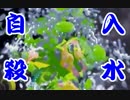 【実況】かつてイカと呼ばれた俺がヒーローになる物語 3【splatoon】