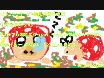 【ピクミン】初見無犠牲実況～再び、赤い悪魔～【第１１匹】