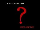 Who Are You / Soul Liberation