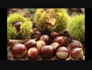 【くりきん】キンバトルBGM【30分】