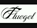 Fluegel 1st Single「Requiem」CM動画