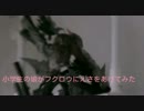 小学生の娘がフクロウにえさをあげてみた