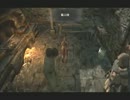 【セイギ。】　ドラゴンズドグマ　5章　【実況プレイ】
