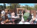 サバゲやります(゜∀。)　６月６日　駄メサバネタ祭り