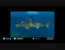 めちゃくちゃ魚と戯れたいので『FOREVER BLUE 海の呼び声』やります　part4