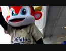 ドアラｖｓバファローブル　セ・パ交流戦2015