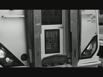 Nightbird Liner Wing【おはようライナー逗子号】