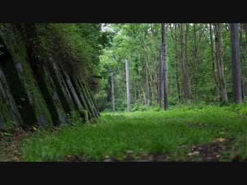 【時雨ナオ】蛇行する線路の先に見える未来はた(ry【UTAUオリジナル曲】