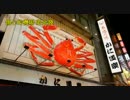 松山恵子『別れの入場券』台湾語版２…郭金発「傷心的機場」