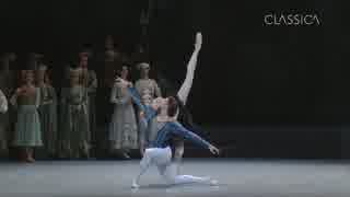 Swan Lake - Black Swan - Vienna State Ballet 2014