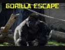 【単発実況】貴方もゴリラ、私もゴリラ、つまり【GORILLA ESCAPE】