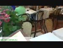 (2/3)【向谷実】ブラミラノ 2015-06-10