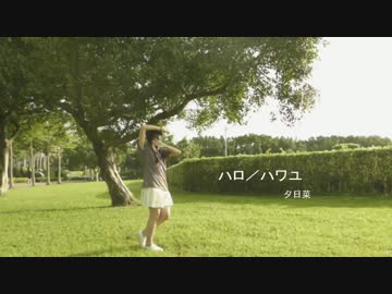 【夕日菜】ハロ／ハワユを踊ってみた【誕生日ﾉ】