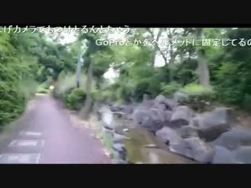 【再放送】　万博→東住吉区　紀行 【往復　約50キロ】