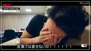 ひょくに尽くすドンへ（アテレコ）