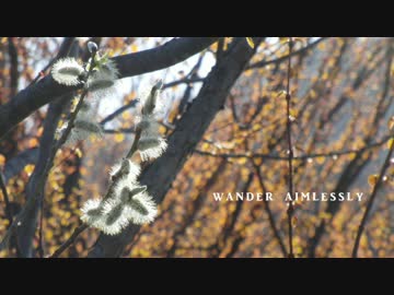【オリジナル曲】wander aimlessly【重音テト】