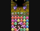 へたくそパズドラーがカエデで遊んでみた
