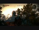 Witcher 2 字幕解説 Iルート Part14 ドラゴンの夢 前編