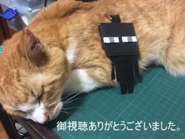 エンダーマンコインケース作ってみた。